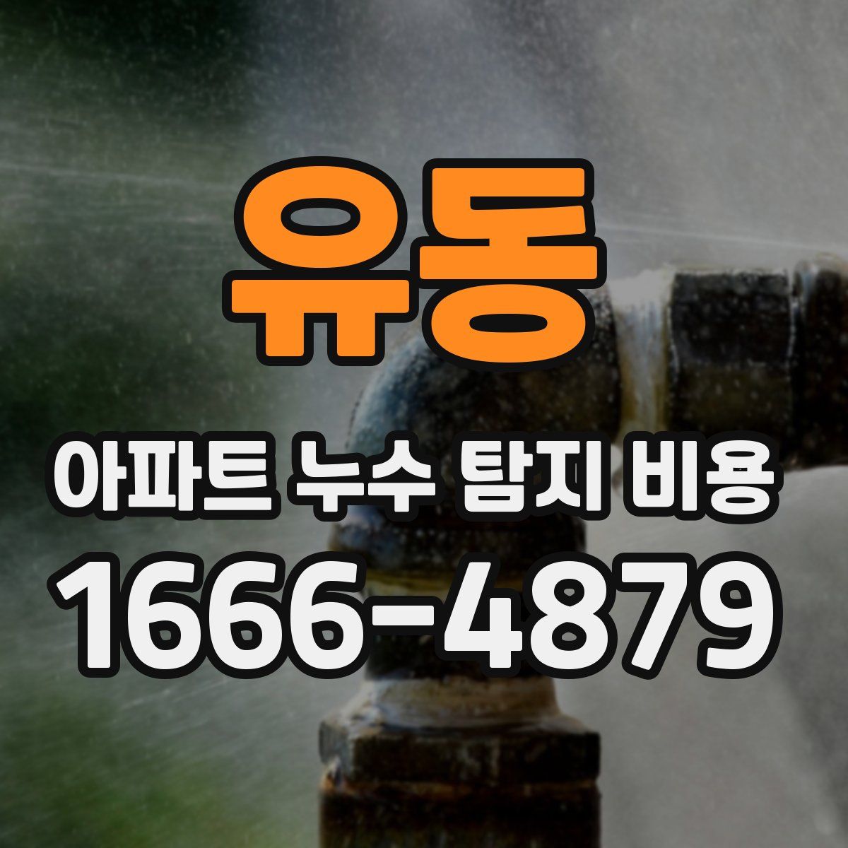 유동 아파트 누수 탐지 비용