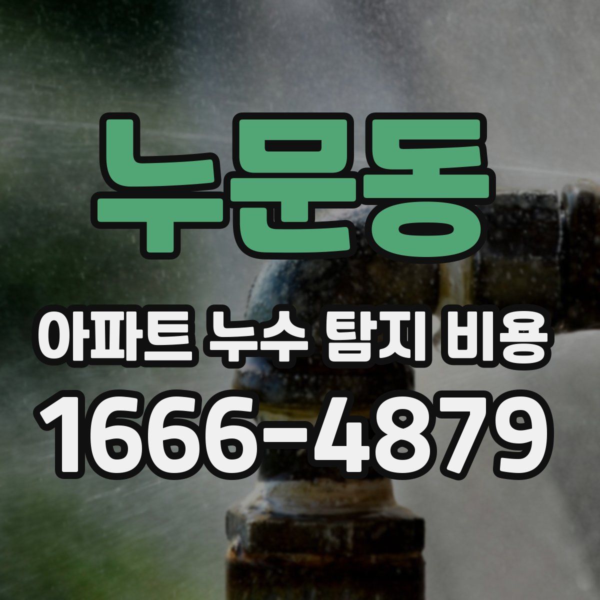 누문동 아파트 누수 탐지 비용