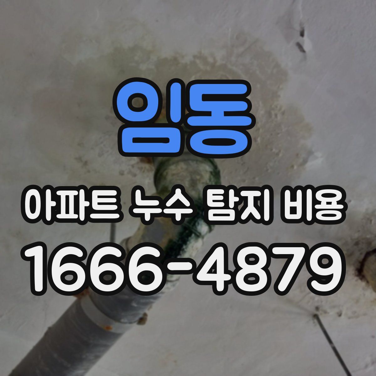 임동 아파트 누수 탐지 비용