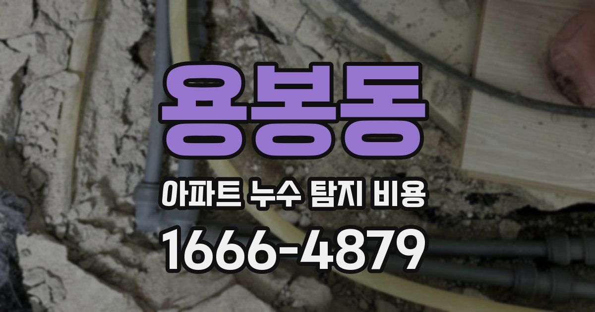용봉동 아파트 누수 탐지 비용