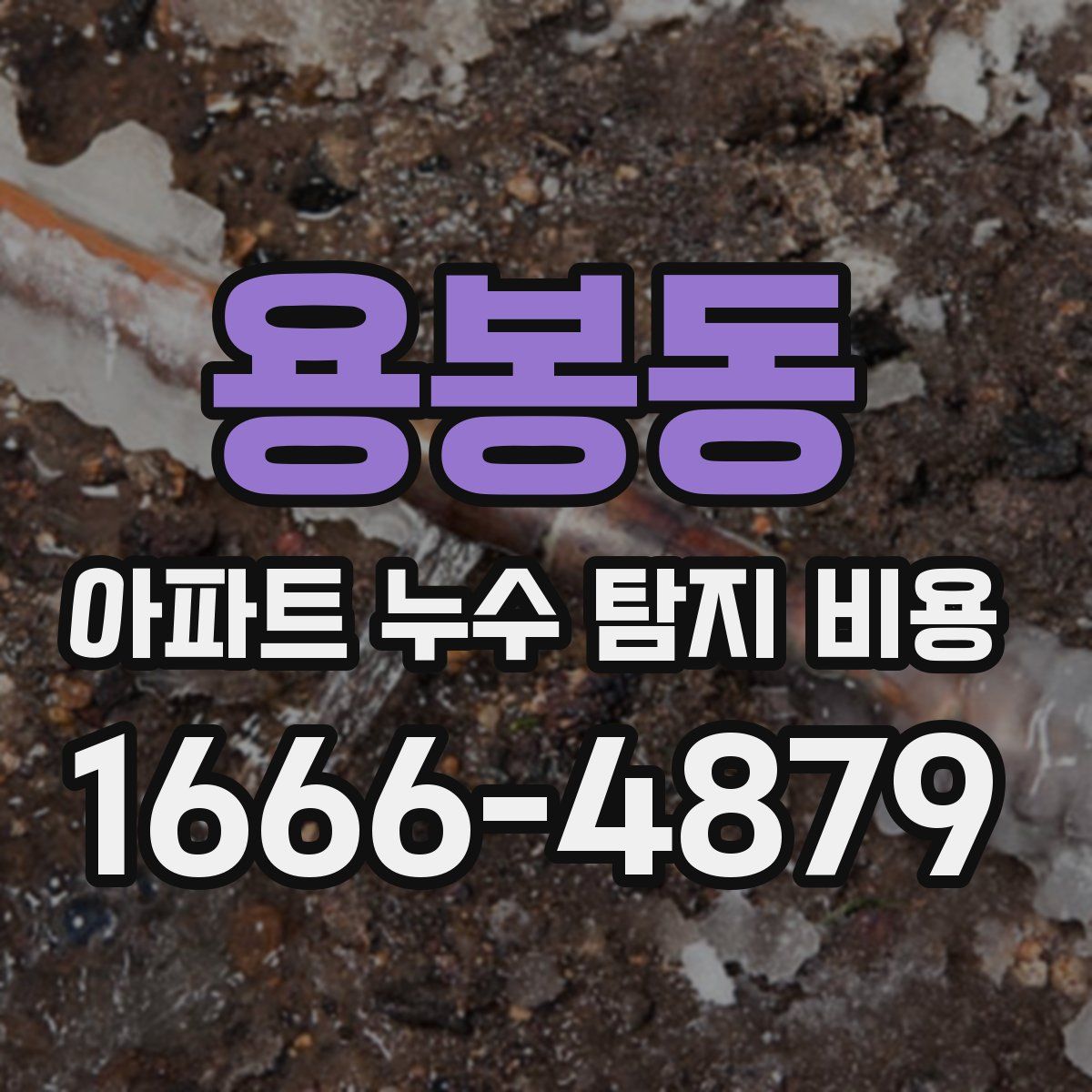 용봉동 아파트 누수 탐지 비용