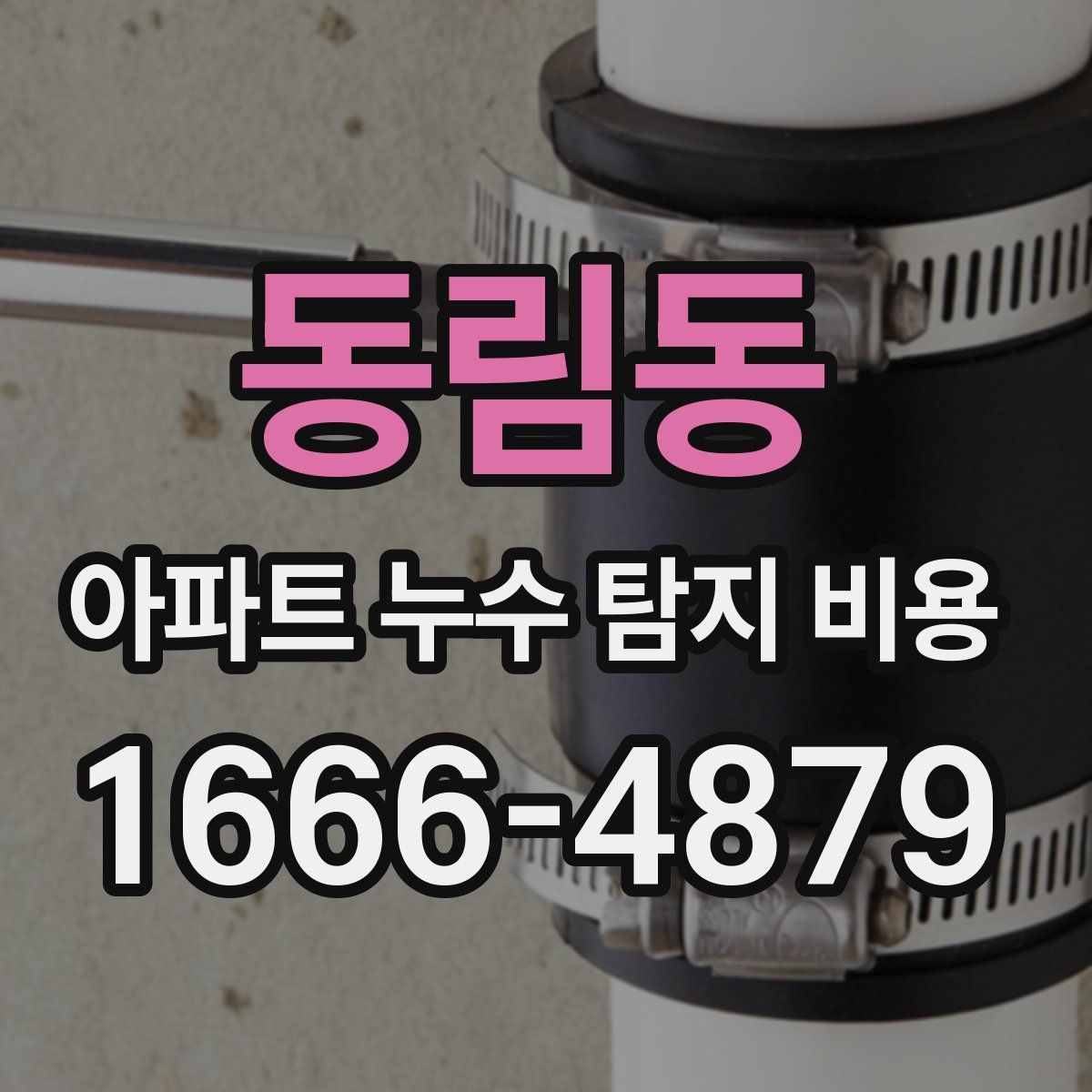 동림동 아파트 누수 탐지 비용