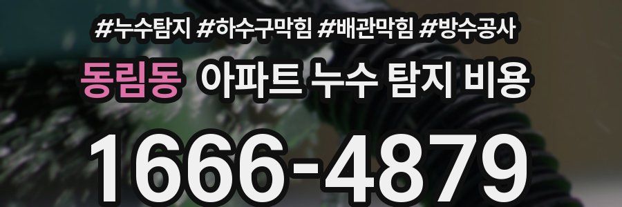 동림동 아파트 누수 탐지 비용