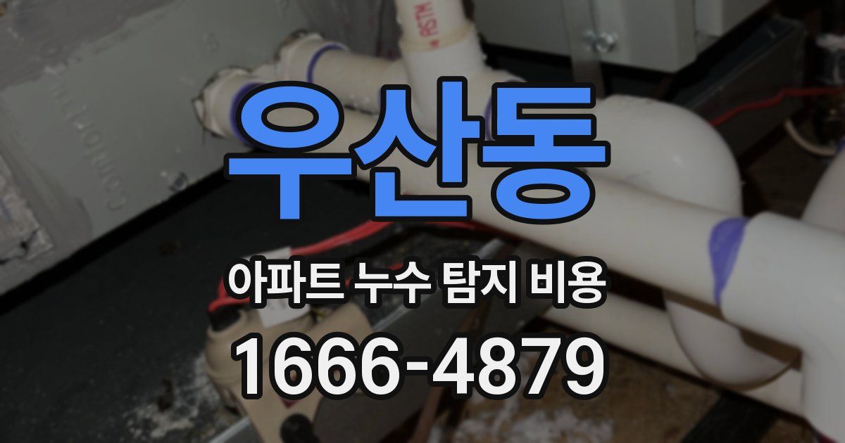 우산동 아파트 누수 탐지 비용