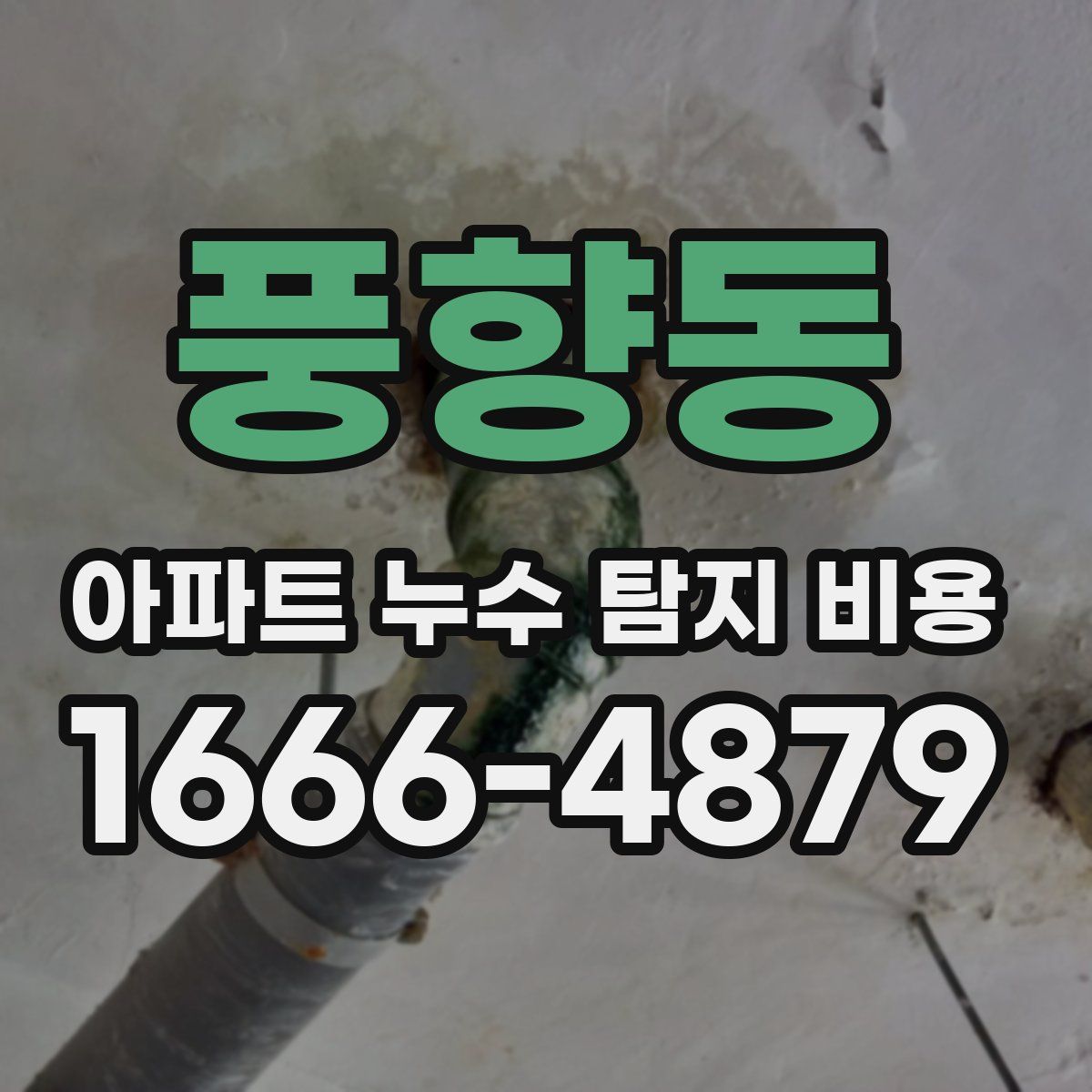 풍향동 아파트 누수 탐지 비용