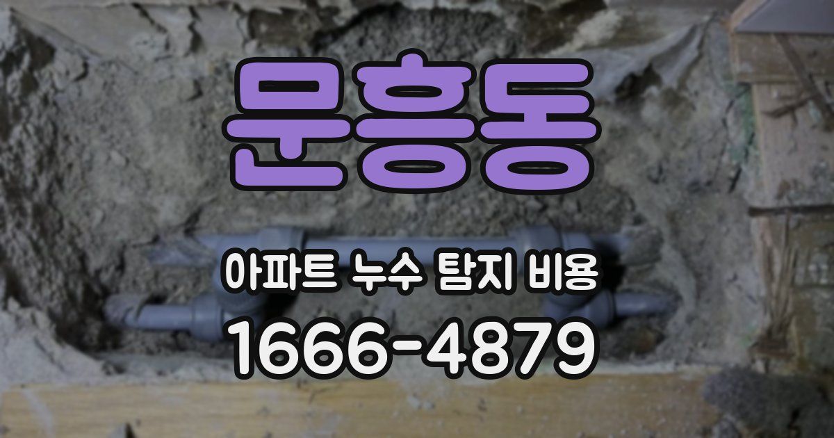 문흥동 아파트 누수 탐지 비용