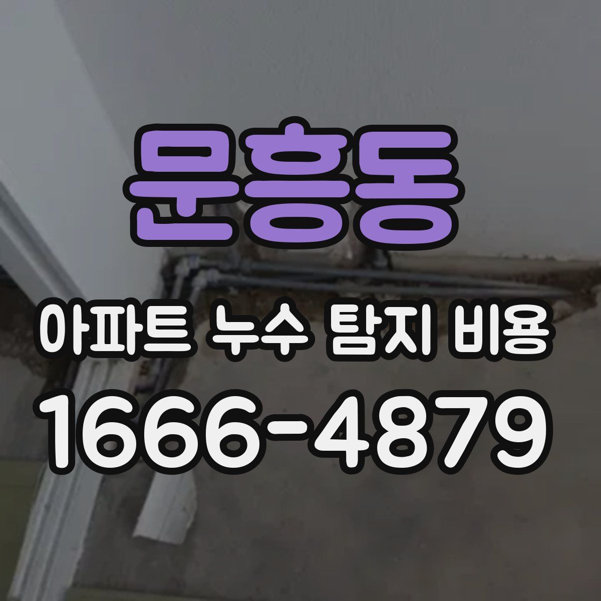 문흥동 아파트 누수 탐지 비용