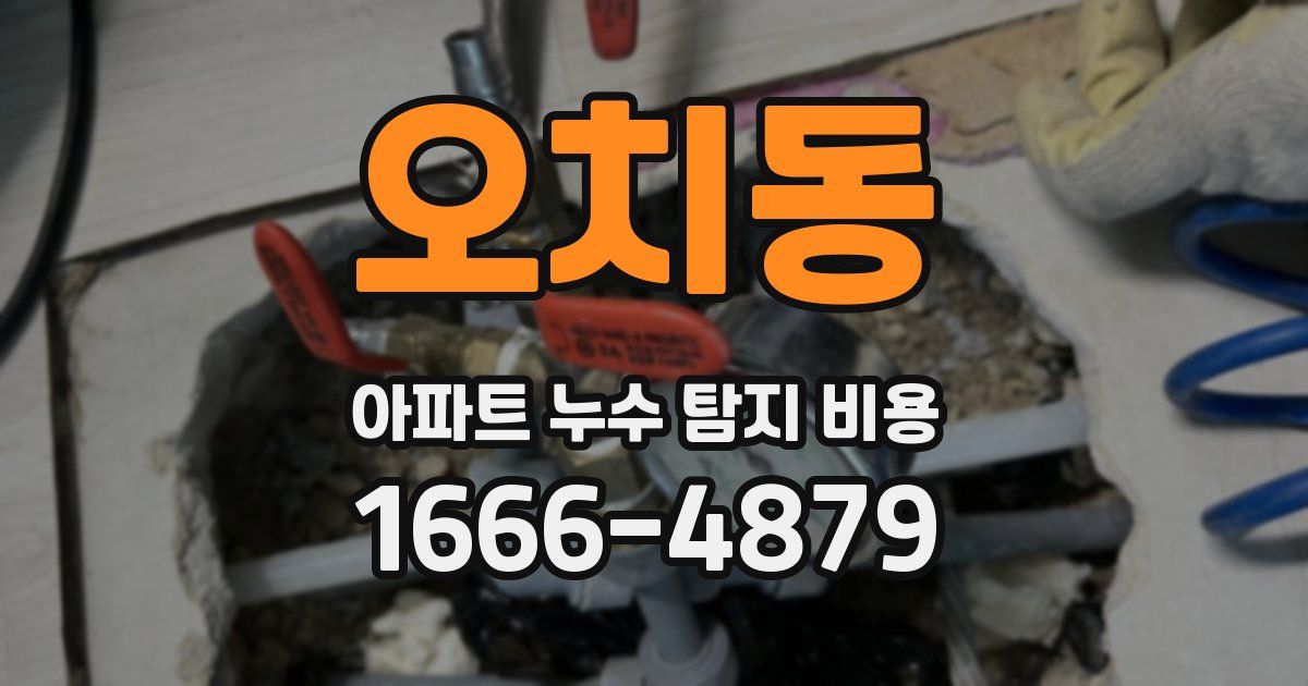 오치동 아파트 누수 탐지 비용