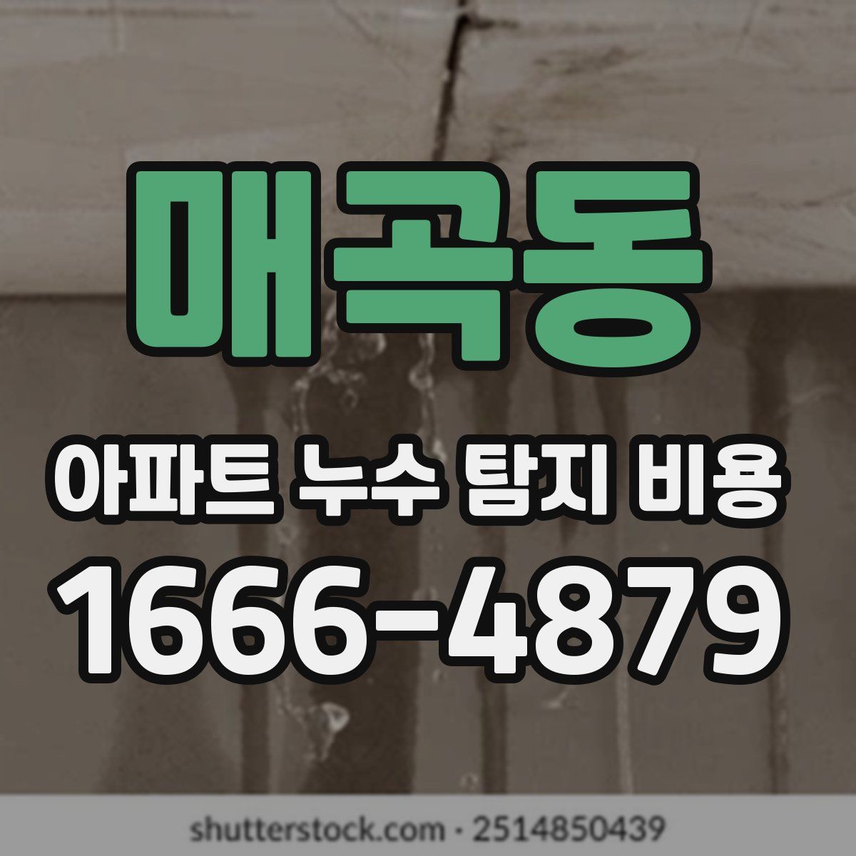 매곡동 아파트 누수 탐지 비용