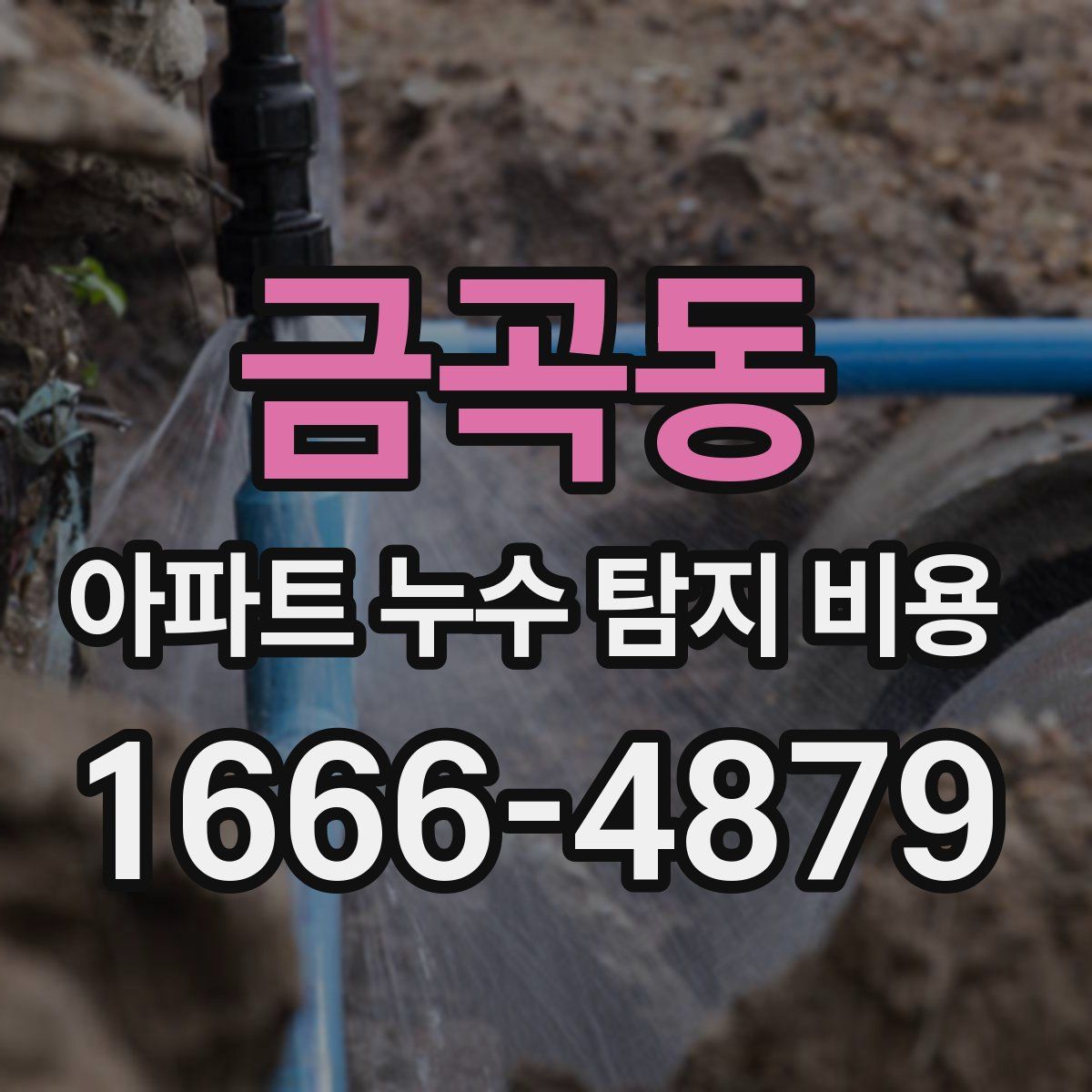 금곡동 아파트 누수 탐지 비용