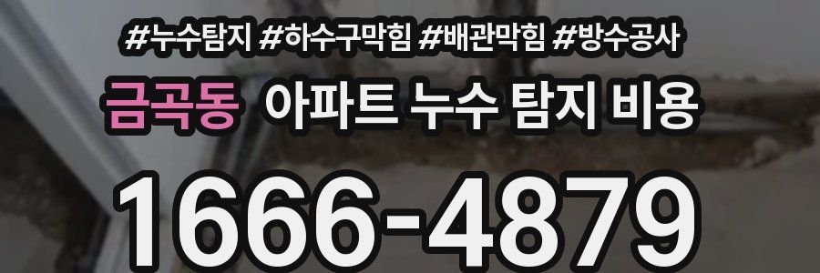 금곡동 아파트 누수 탐지 비용