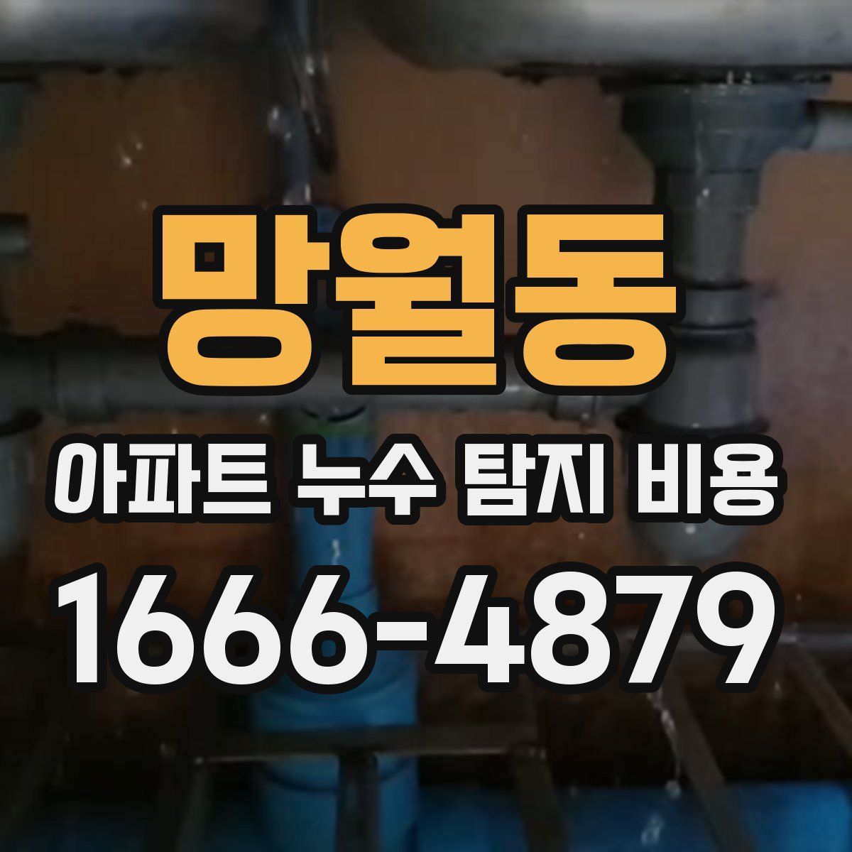망월동 아파트 누수 탐지 비용