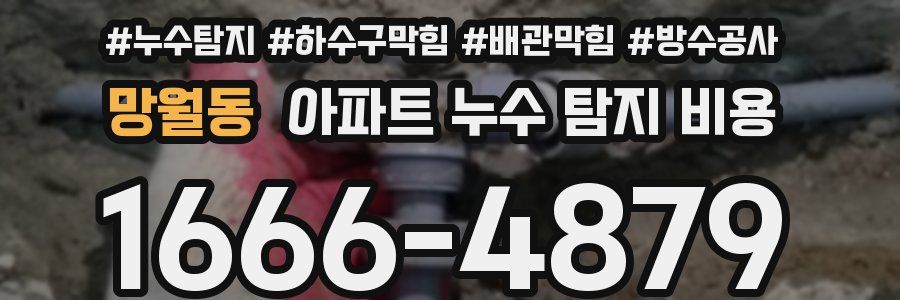 망월동 아파트 누수 탐지 비용