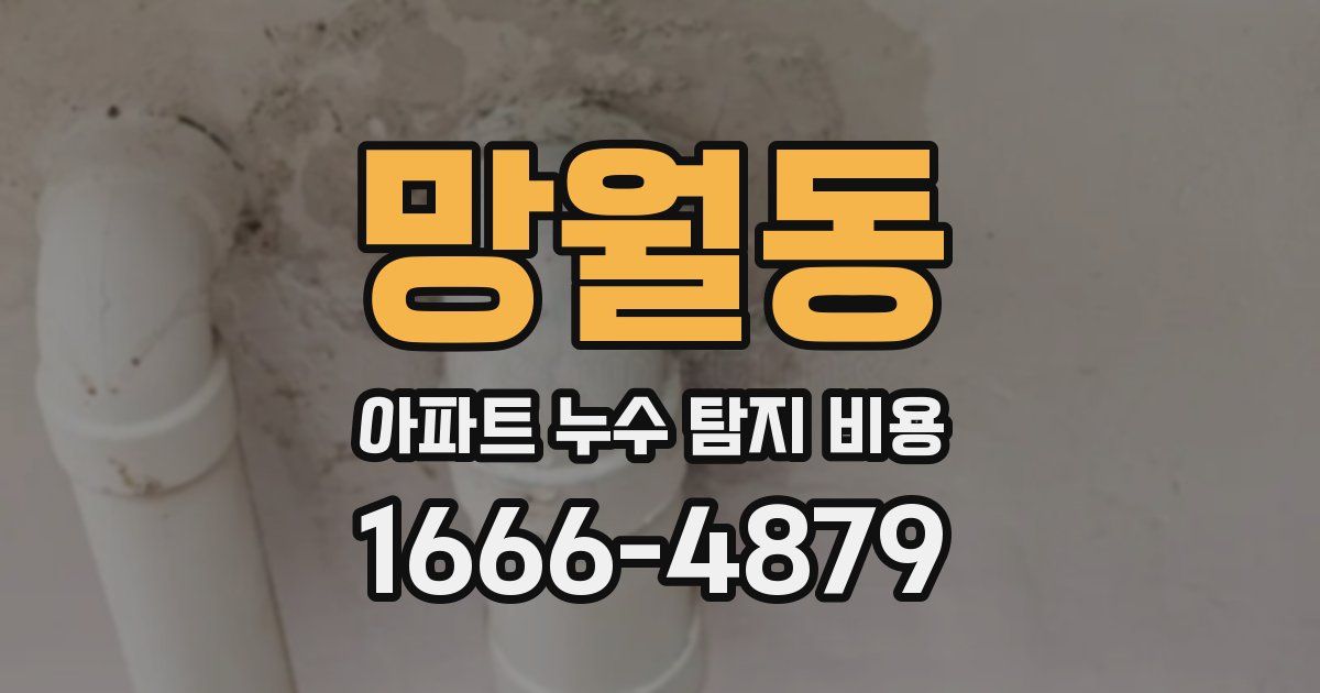 망월동 아파트 누수 탐지 비용