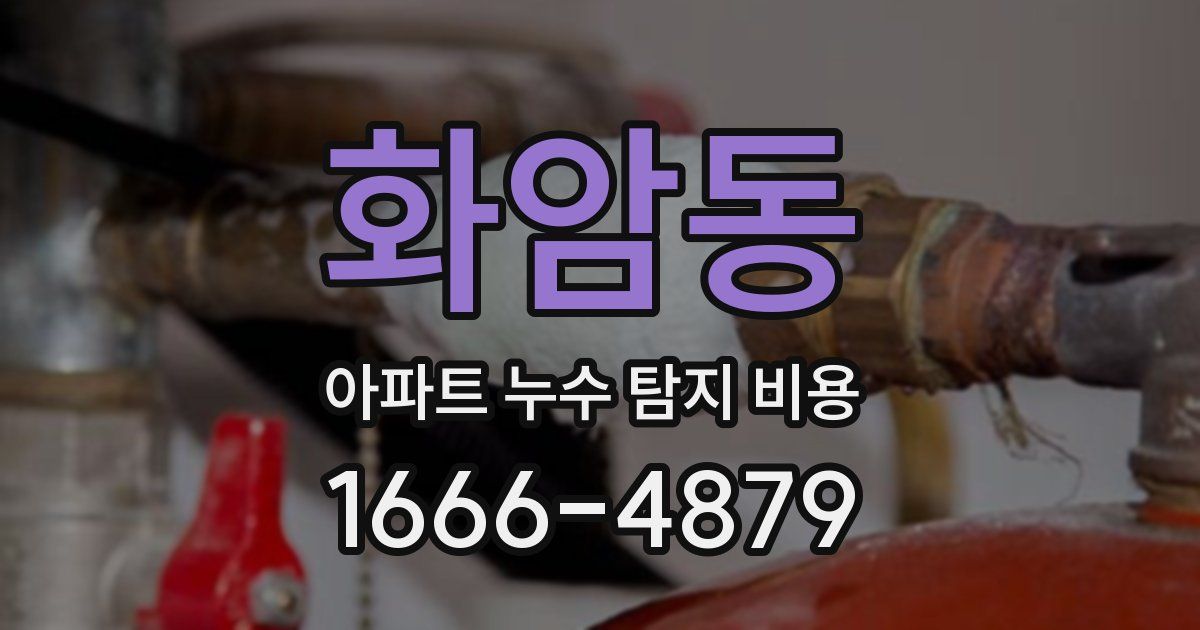 화암동 아파트 누수 탐지 비용