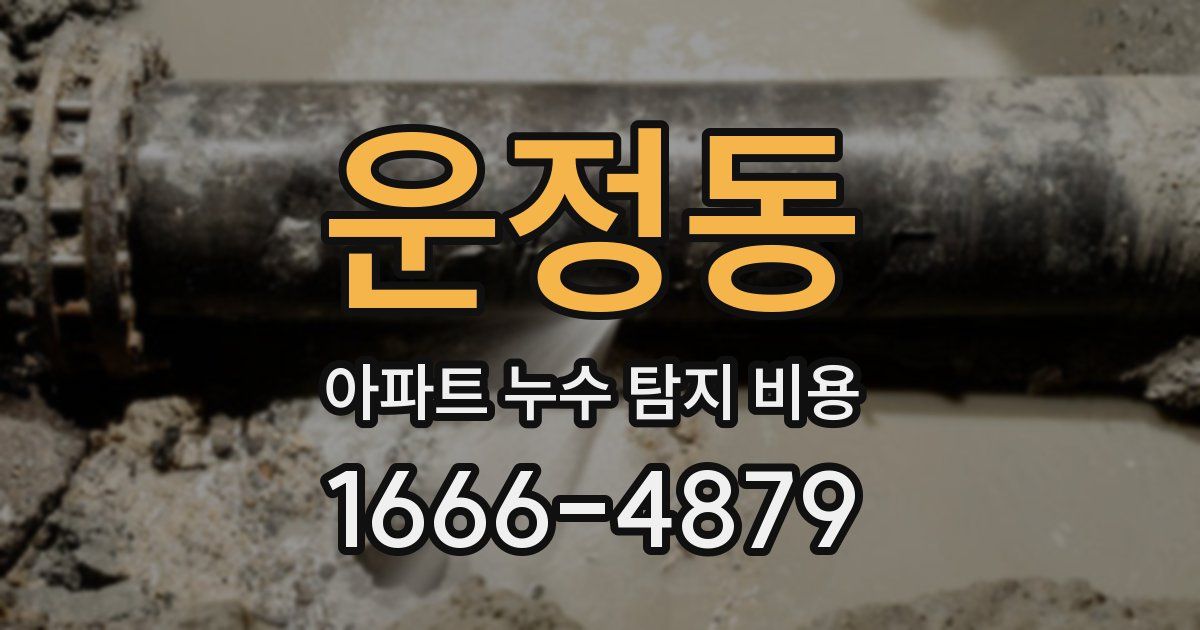 운정동 아파트 누수 탐지 비용
