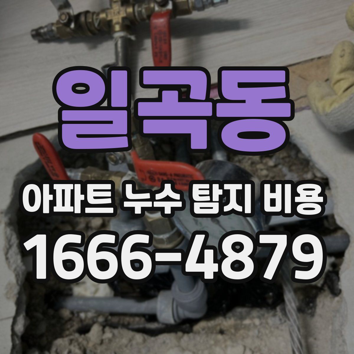 일곡동 아파트 누수 탐지 비용