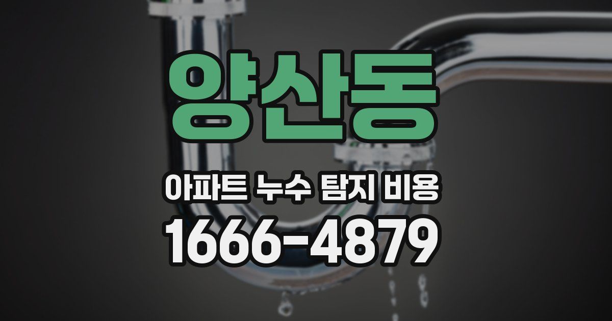 양산동 아파트 누수 탐지 비용