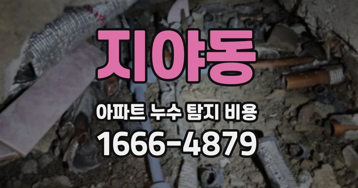 지야동 아파트 누수 탐지 비용