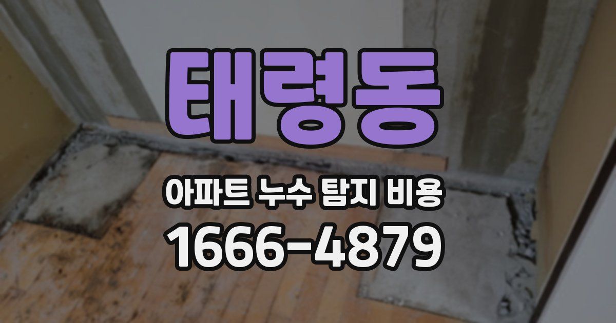 태령동 아파트 누수 탐지 비용