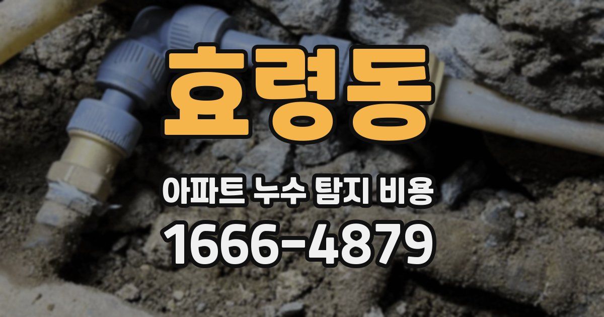 효령동 아파트 누수 탐지 비용