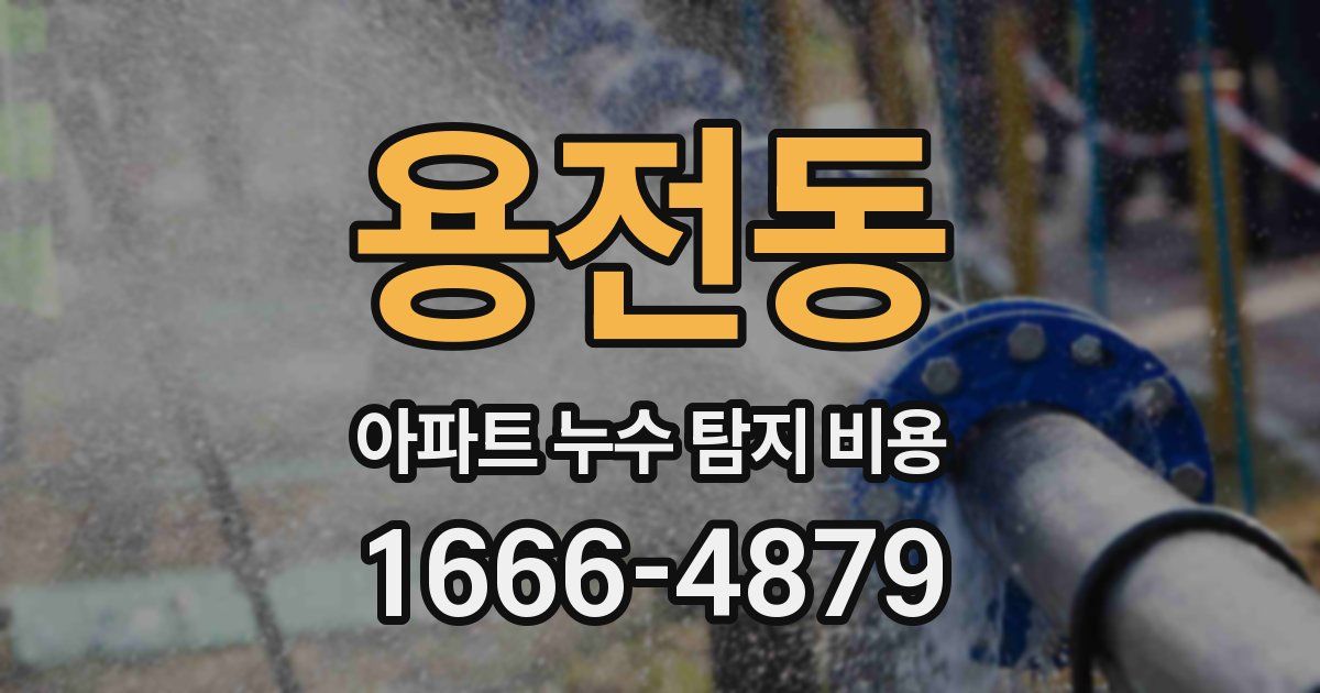 용전동 아파트 누수 탐지 비용