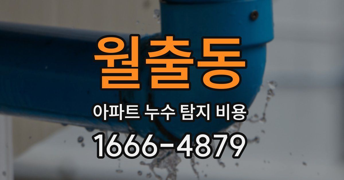 월출동 아파트 누수 탐지 비용