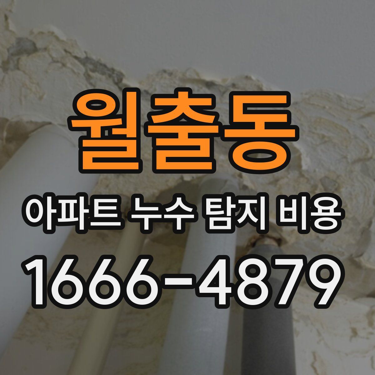월출동 아파트 누수 탐지 비용