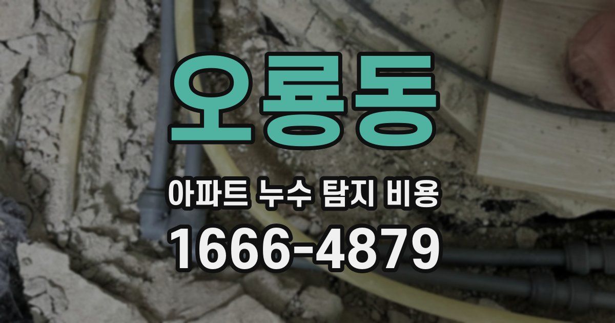 오룡동 아파트 누수 탐지 비용
