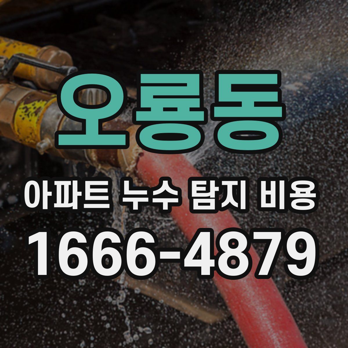 오룡동 아파트 누수 탐지 비용
