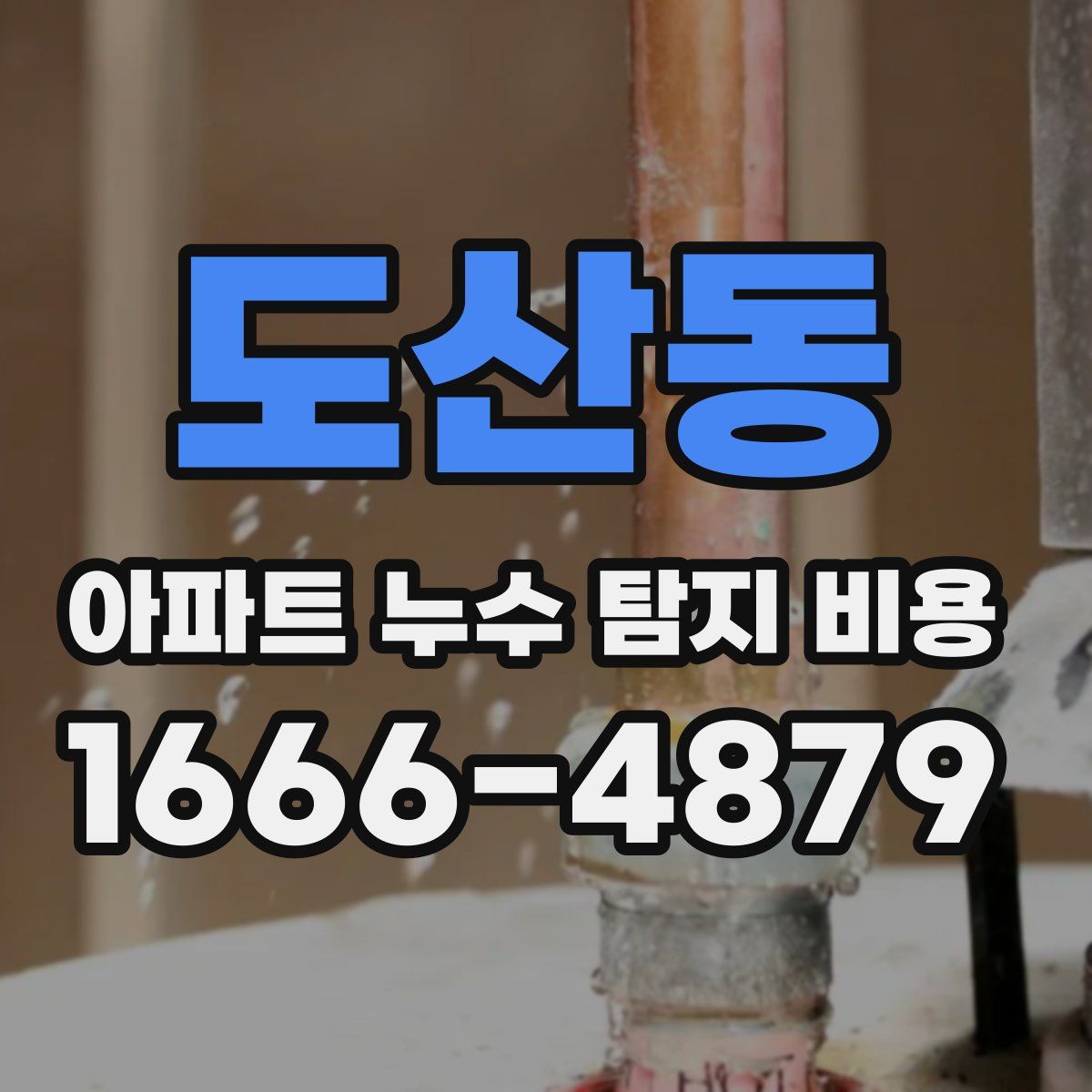 도산동 아파트 누수 탐지 비용
