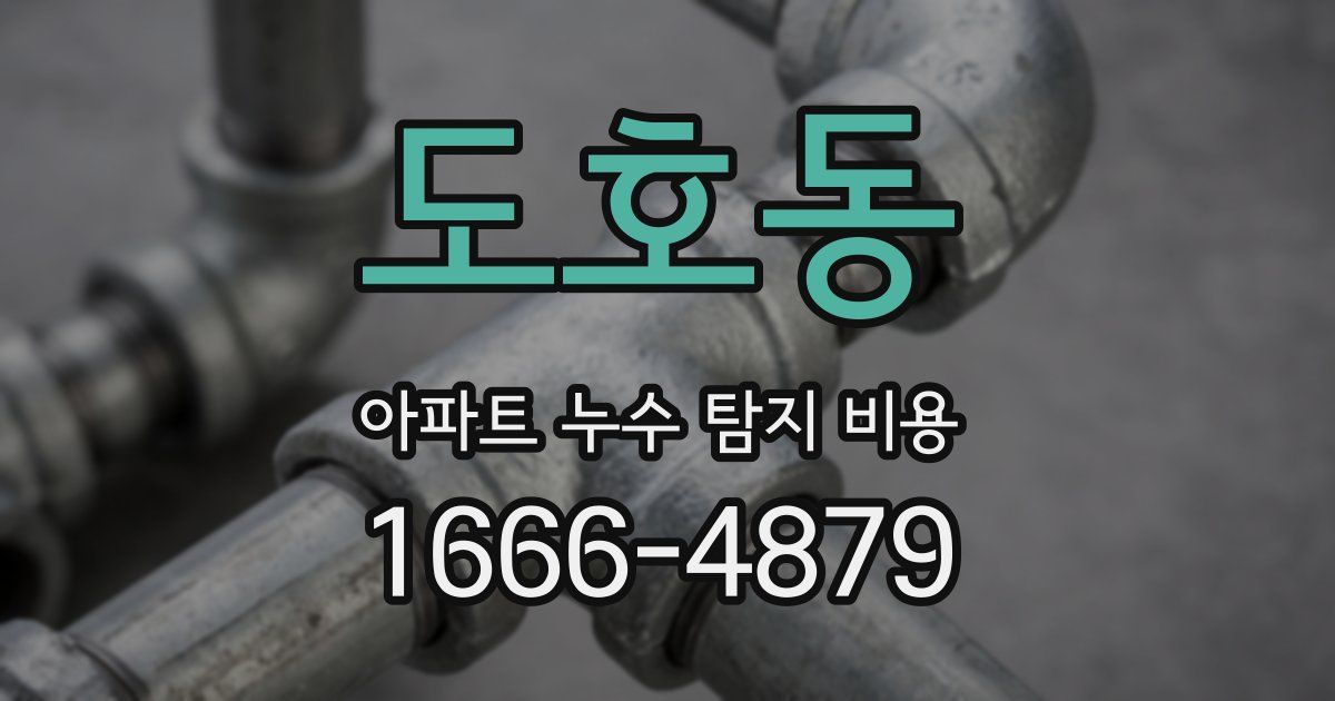 도호동 아파트 누수 탐지 비용