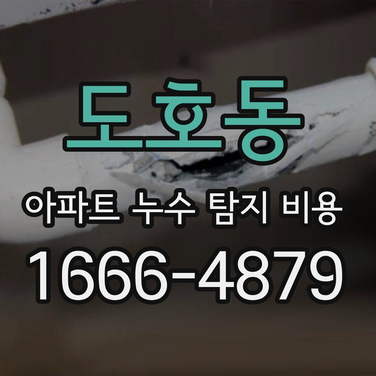 도호동 아파트 누수 탐지 비용