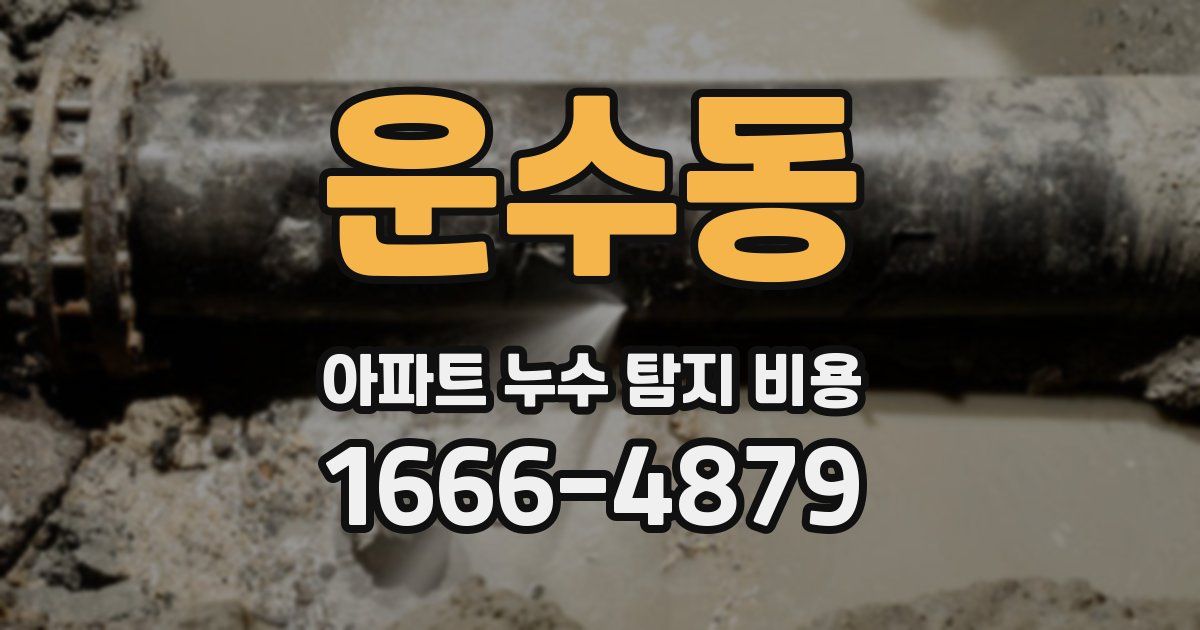 운수동 아파트 누수 탐지 비용