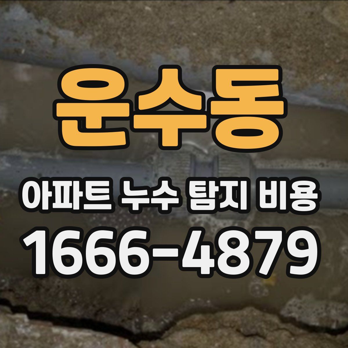 운수동 아파트 누수 탐지 비용