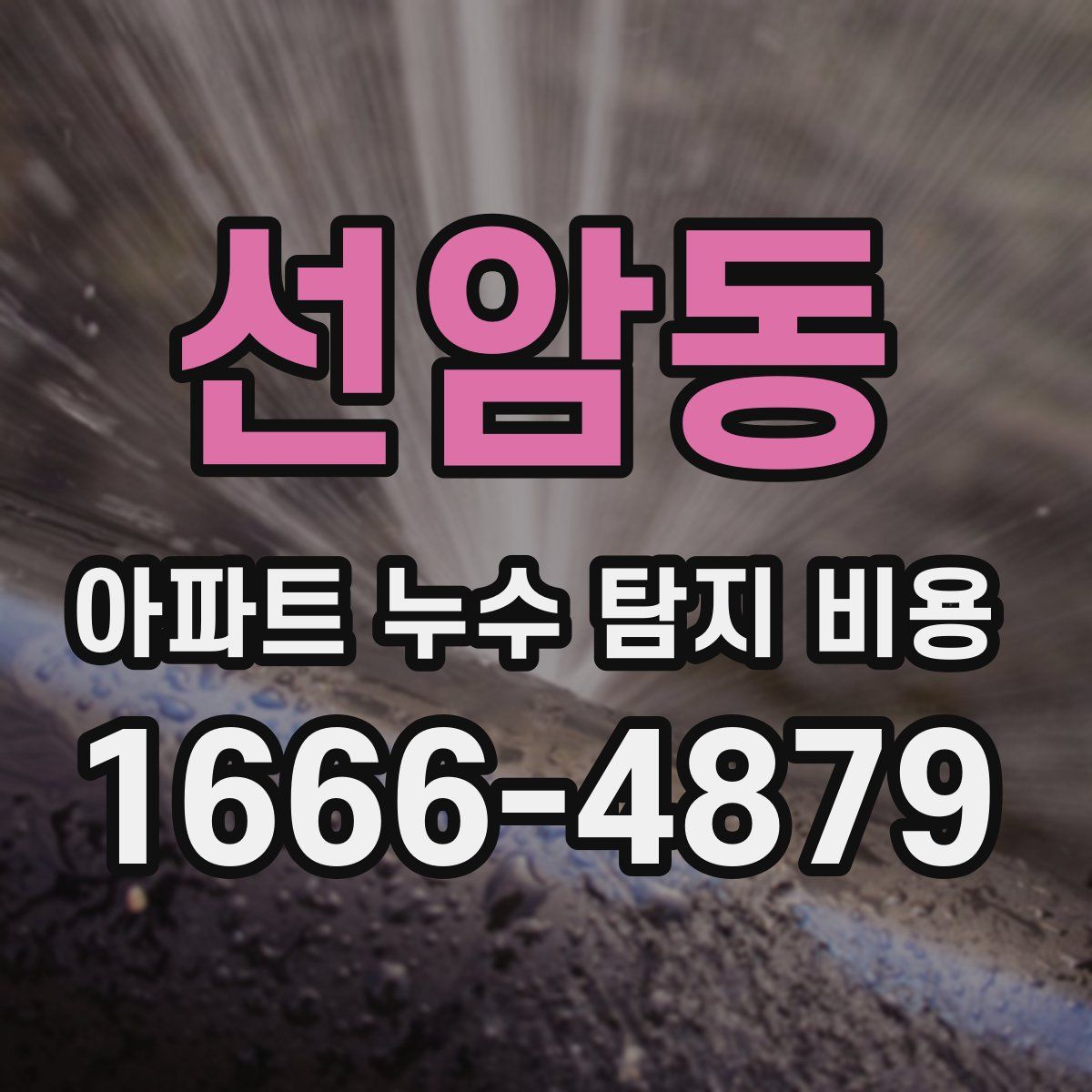 선암동 아파트 누수 탐지 비용
