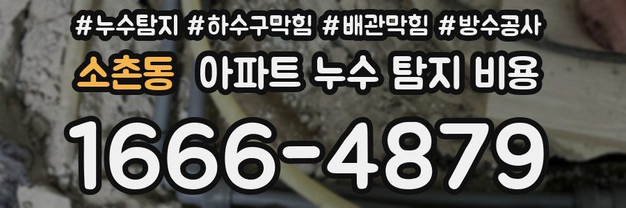 소촌동 아파트 누수 탐지 비용