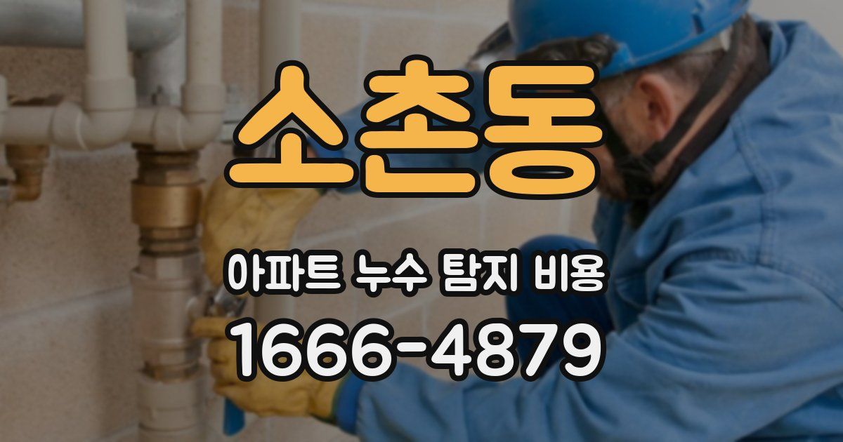 소촌동 아파트 누수 탐지 비용