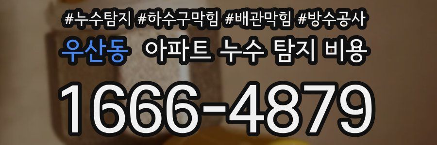 우산동 아파트 누수 탐지 비용