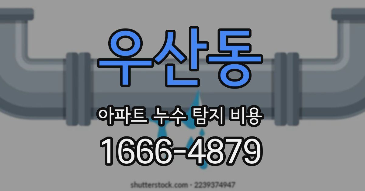 우산동 아파트 누수 탐지 비용