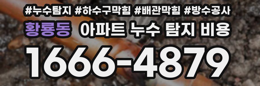 황룡동 아파트 누수 탐지 비용