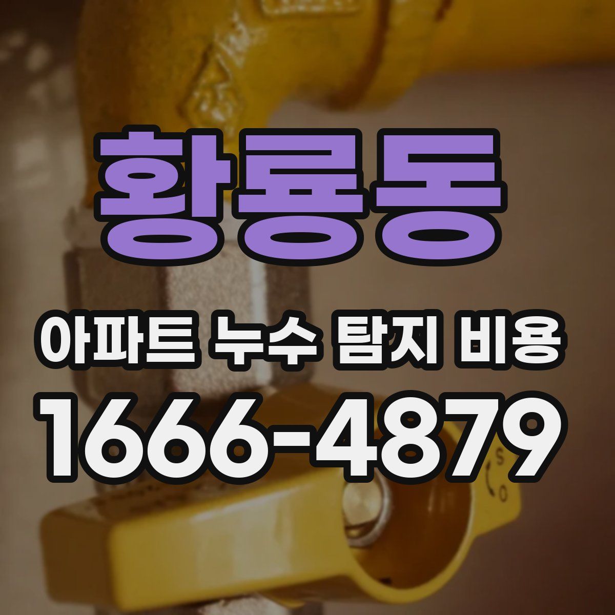 황룡동 아파트 누수 탐지 비용