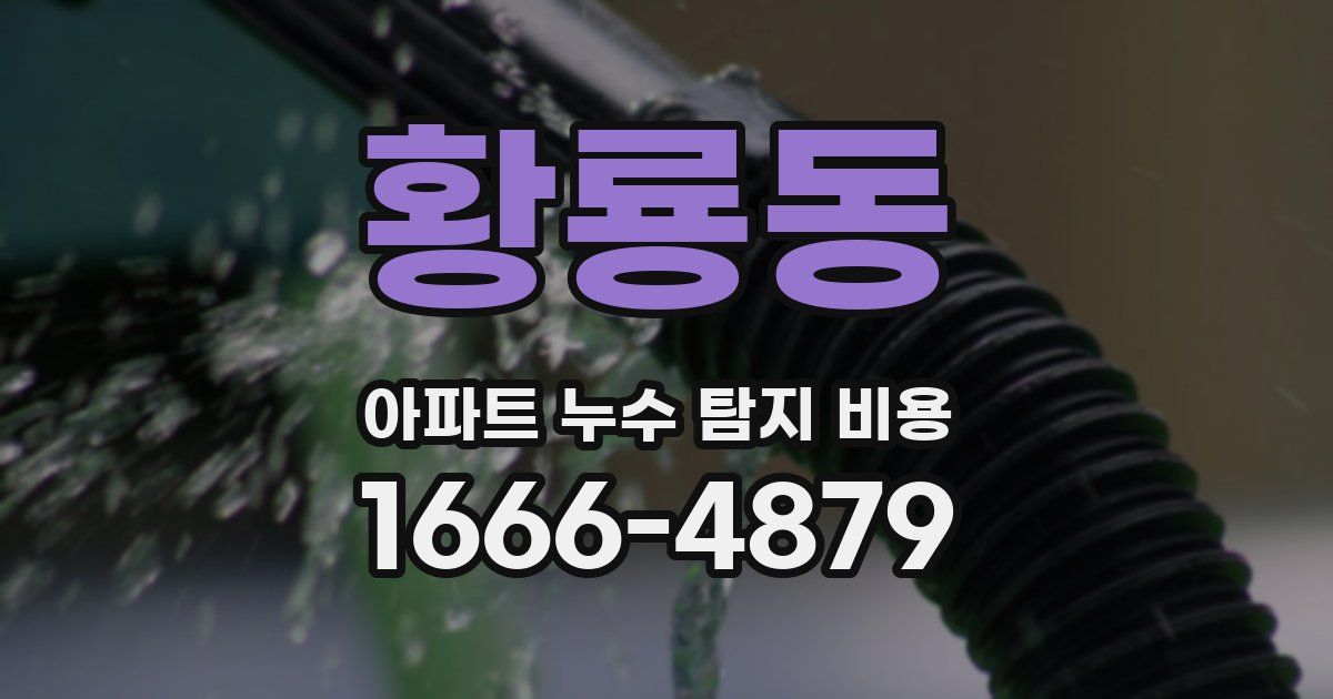 황룡동 아파트 누수 탐지 비용