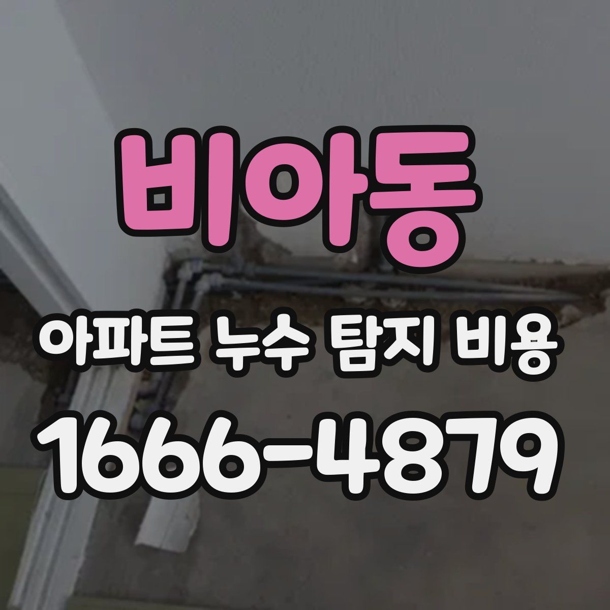 비아동 아파트 누수 탐지 비용