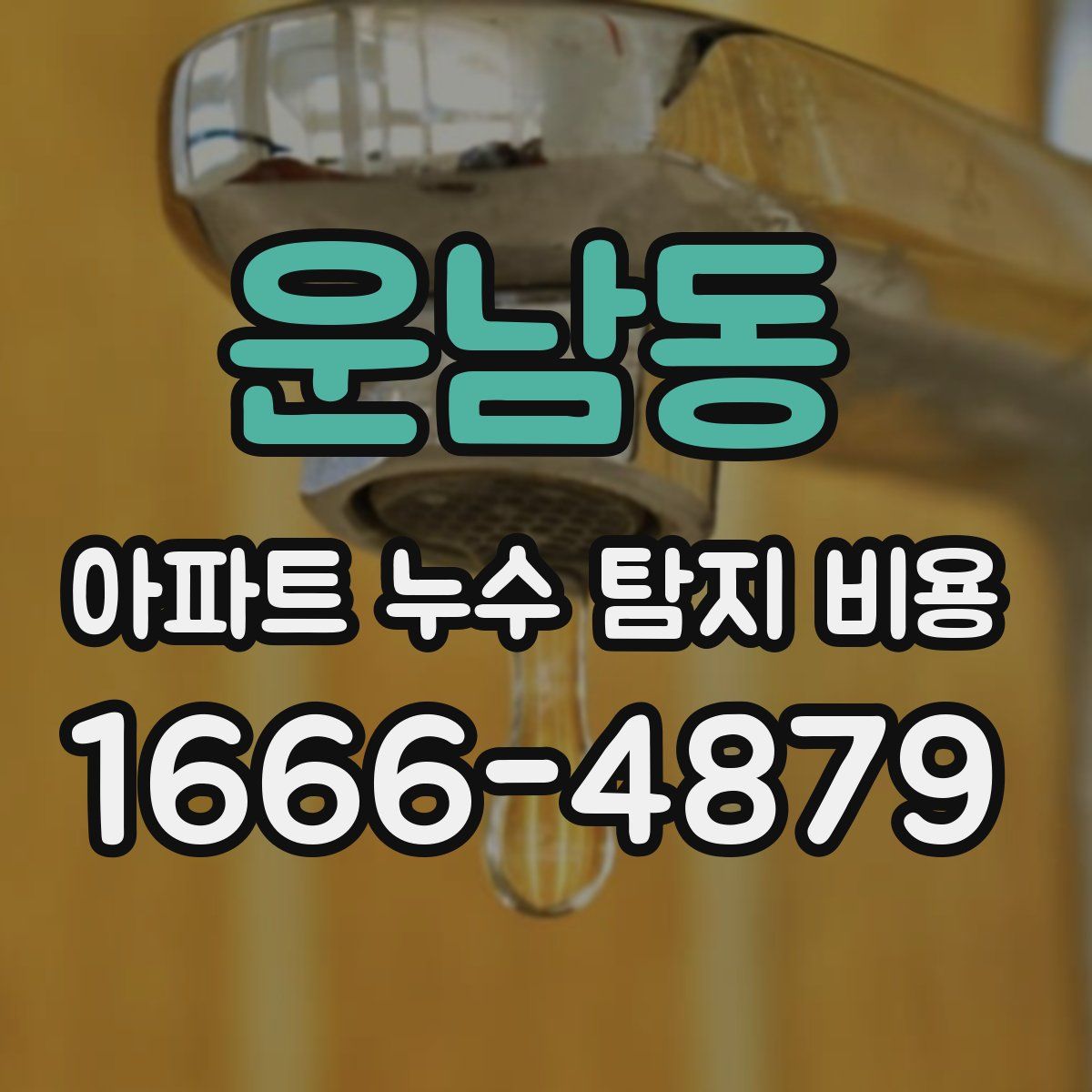 운남동 아파트 누수 탐지 비용