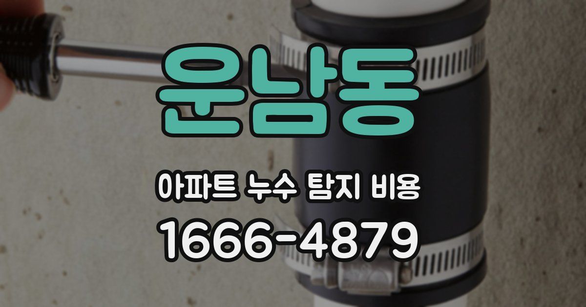 운남동 아파트 누수 탐지 비용