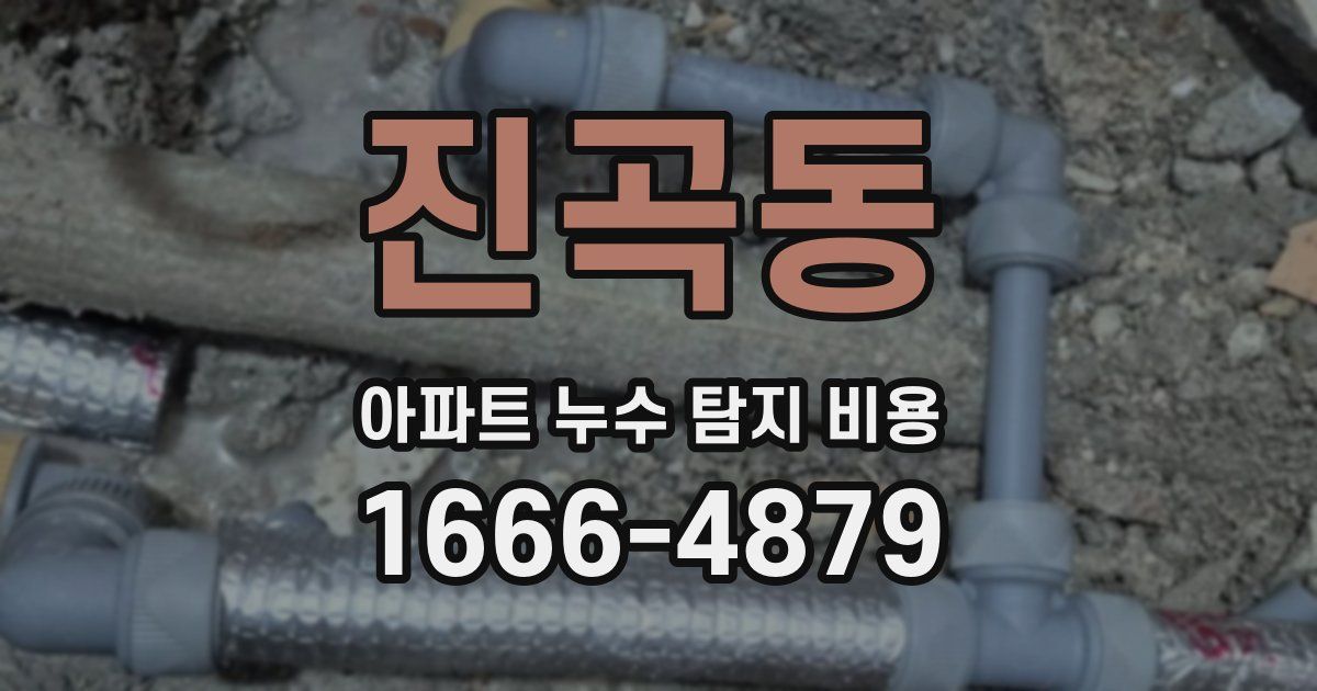 진곡동 아파트 누수 탐지 비용