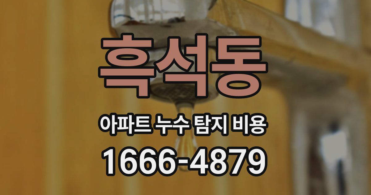 흑석동 아파트 누수 탐지 비용