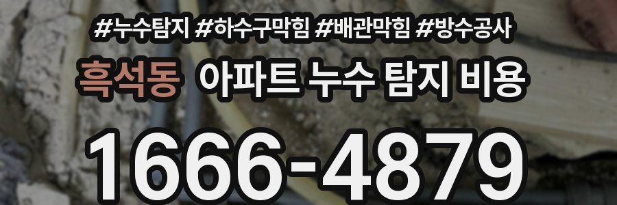 흑석동 아파트 누수 탐지 비용