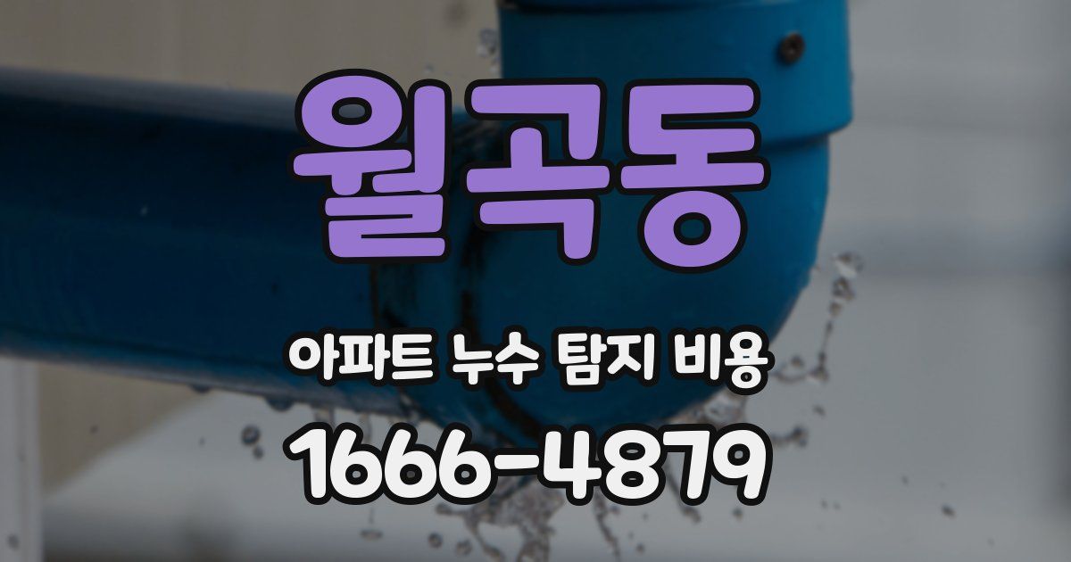 월곡동 아파트 누수 탐지 비용
